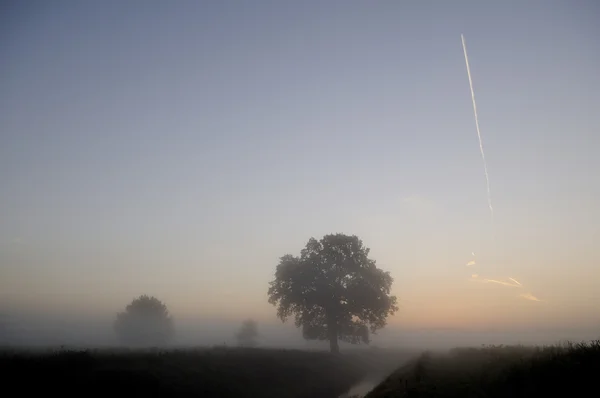 Amanecer en la niebla —  Fotos de Stock