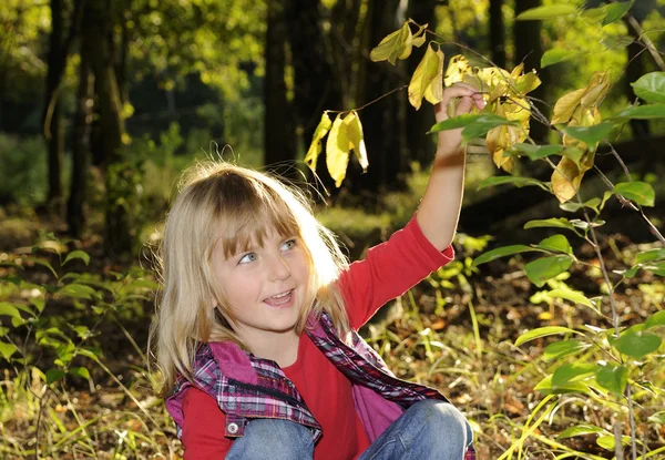 Little girl playing in the forest — Stock Photo, Image