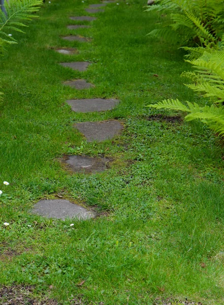 Garden Path — Stock Photo, Image