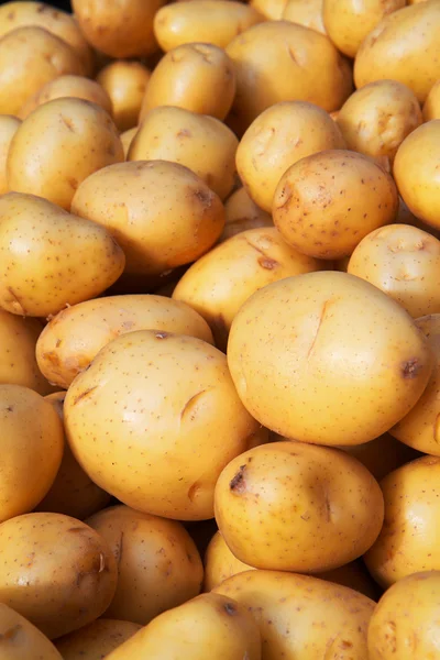 Yukon Gold Potatoes Vertical — Stock Photo, Image