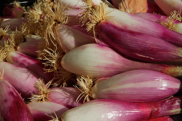 Red torpedo onions — Stock Photo, Image