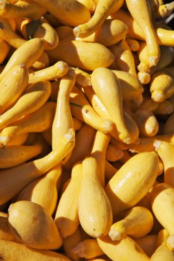 Yellow Squash Pile clipart