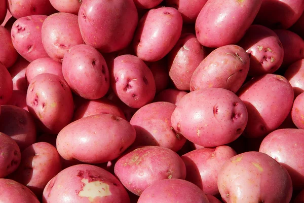 Κόκκινο πατάτες — Φωτογραφία Αρχείου