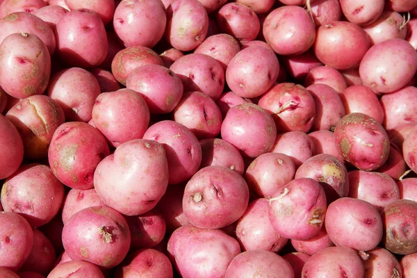 Small Red Potatoes — Stock Photo, Image
