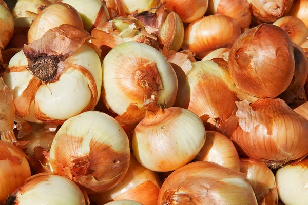Yellow Onions — Stock Photo, Image