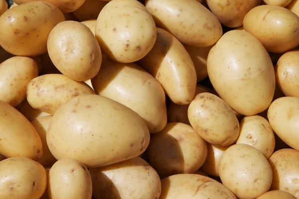 Yukon Potatoes — Stock Photo, Image