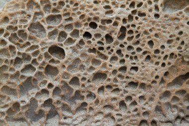 Sponge texture stone clipart