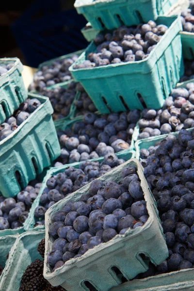 Blueberry cartons — Stock Photo, Image