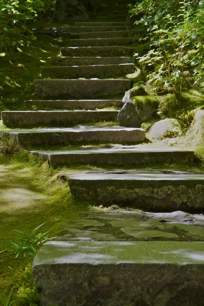 Лишайник покриті кам'яними сходинками — стокове фото