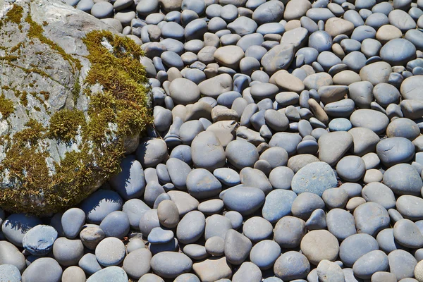 Річка камені і валуни — стокове фото