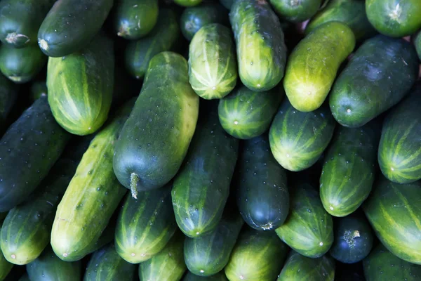 Stapel van komkommers — Stockfoto