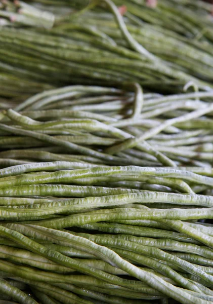 stock image Asain Long Beans