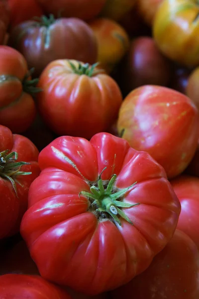 Heritage tomato — Stock Photo, Image