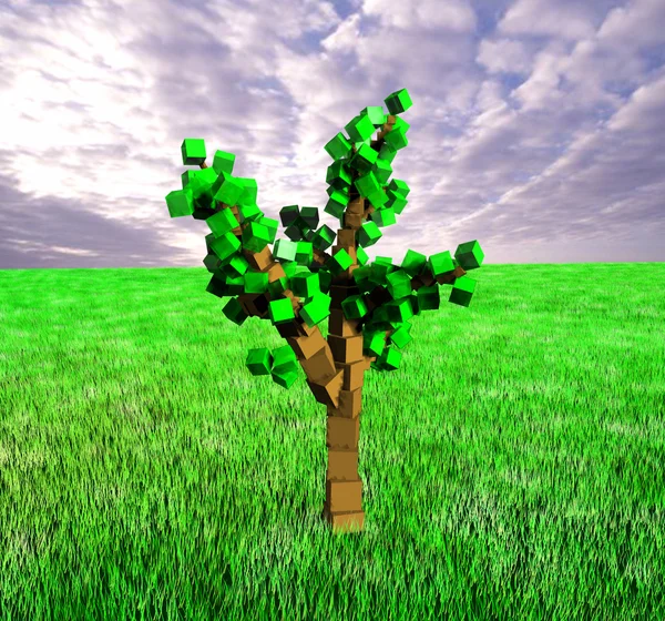 Cube tree — Stock Photo, Image