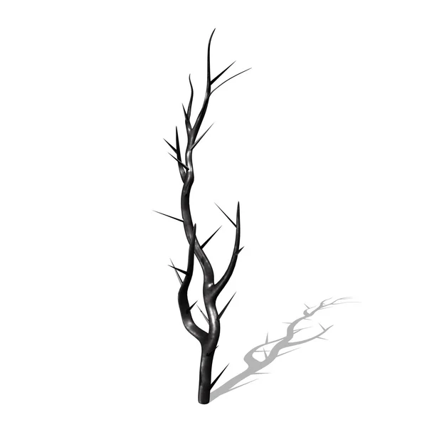 Větev stromu frézy — Stock fotografie
