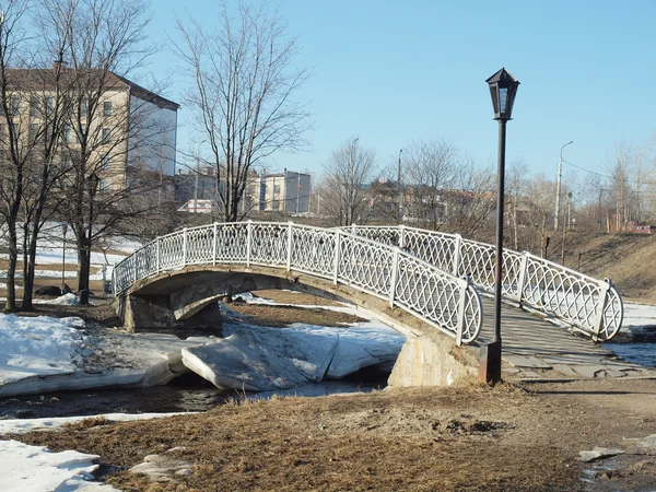 สะพานในสวนสาธารณะ — ภาพถ่ายสต็อก