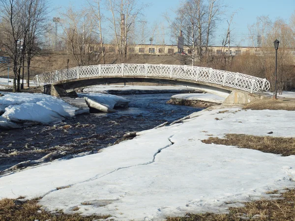 Η γέφυρα στο πάρκο — Φωτογραφία Αρχείου