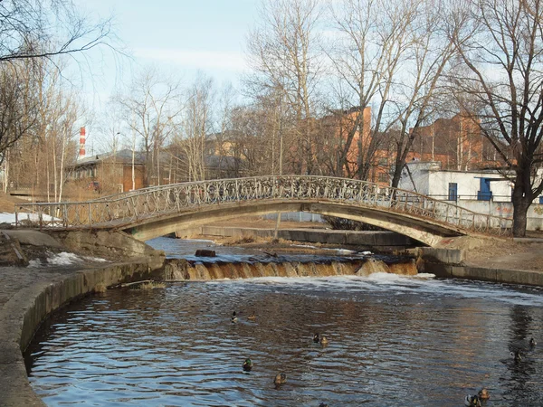 De brug in park — Stockfoto