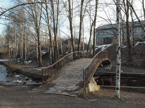 El puente en el parque — Foto de Stock
