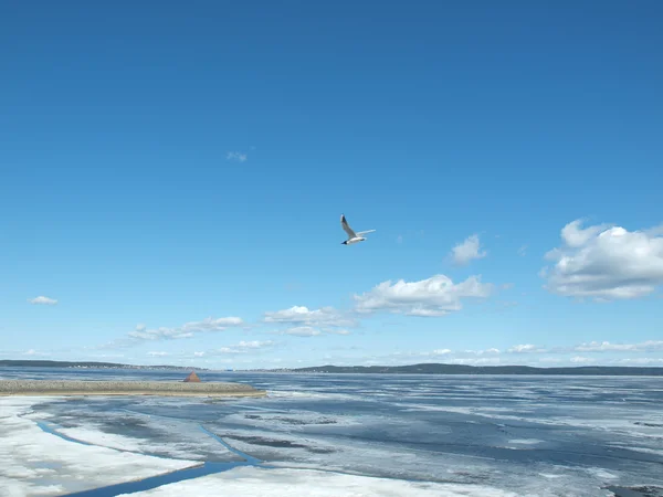 Jezioro, niebo i mewa — Zdjęcie stockowe