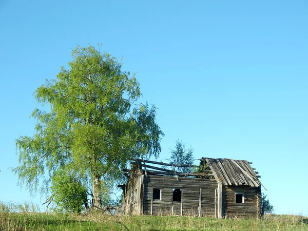 La casa e l'albero — Foto Stock