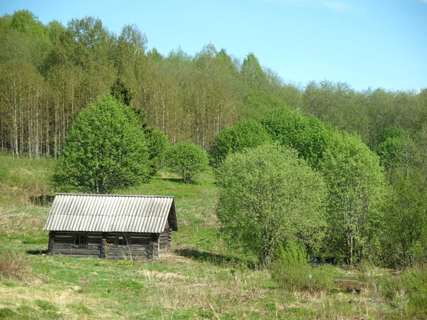 Dům v lese — Stock fotografie