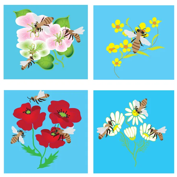 Σύνολο καρτών με μέλισσες και λουλούδια — Διανυσματικό Αρχείο