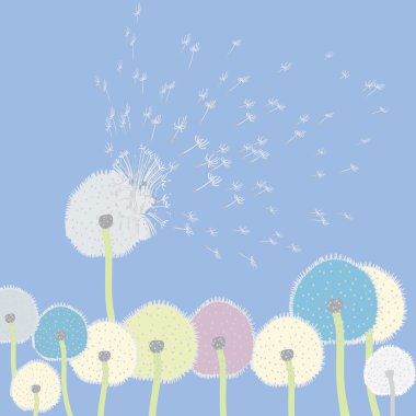 soyut dandelions