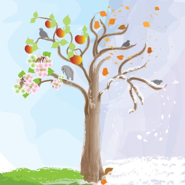 mevsimsel değişiklikler sembolü olarak elma ağacı