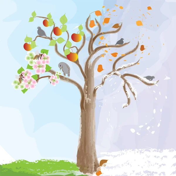 Abstract apple tree as symbol of seasonal changes — Stock Vector