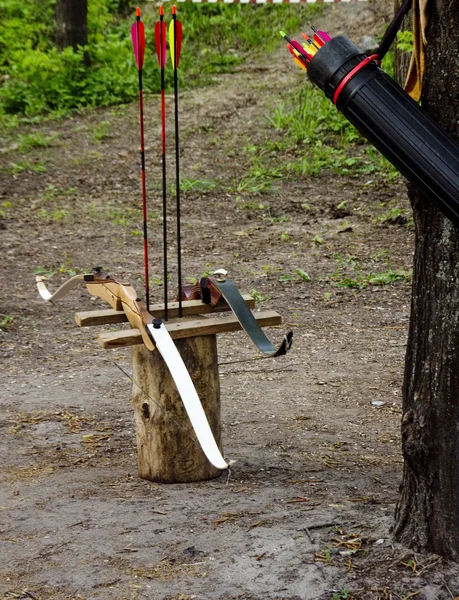 Bow and arrows — Stock Photo, Image