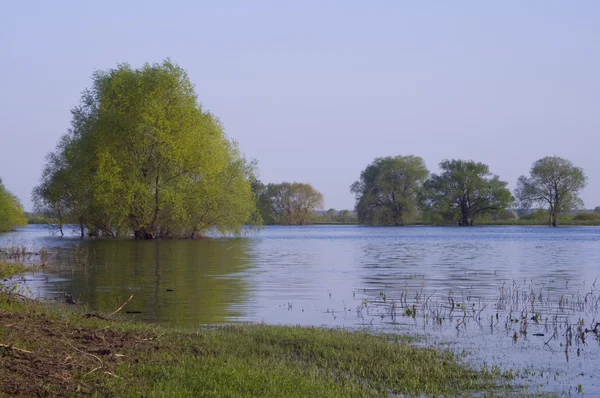 stock image River