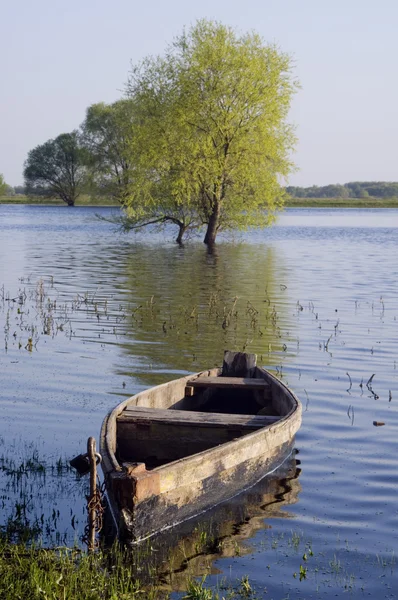 stock image River