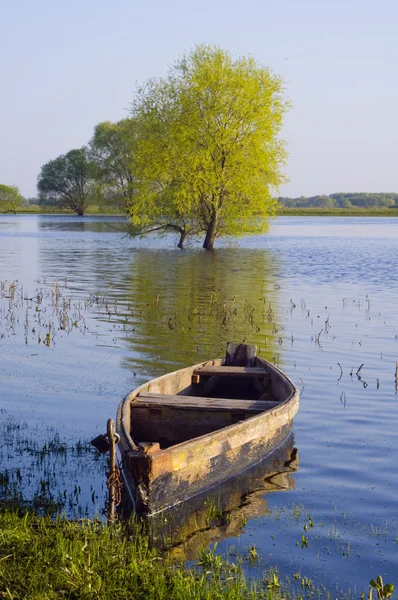 stock image River