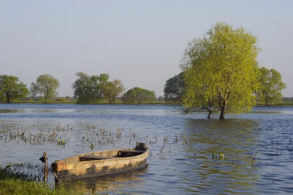 stock image River