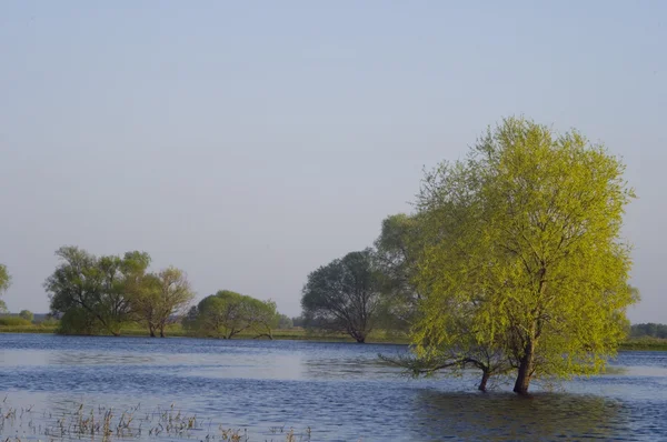 stock image River