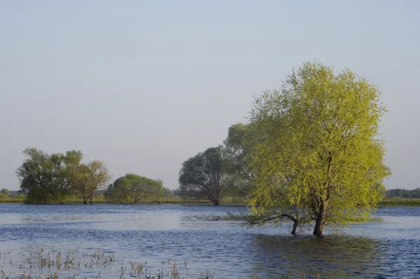 stock image River