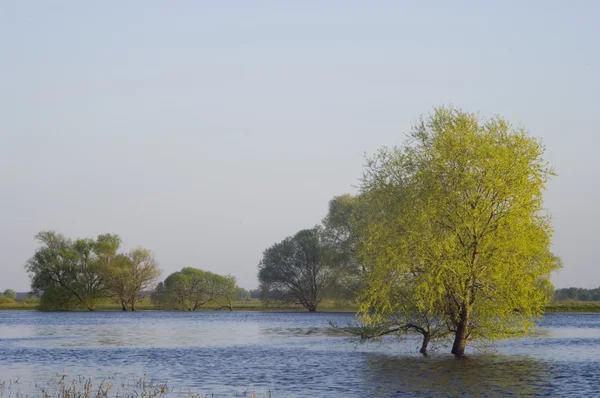 stock image River