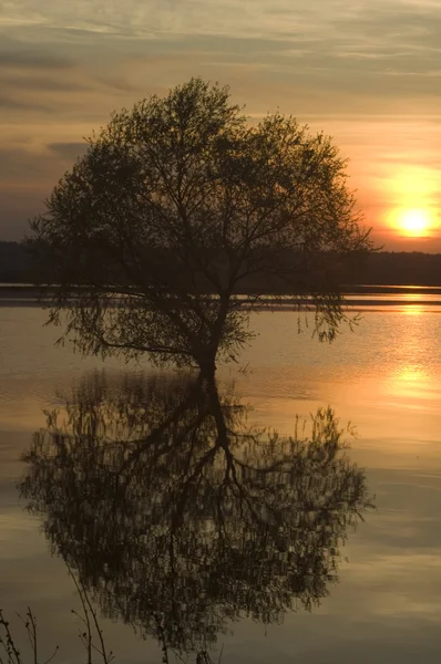 Tramonto — Foto Stock