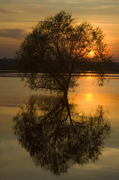 stock image Sunset