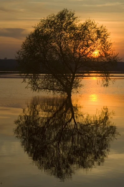 Tramonto — Foto Stock