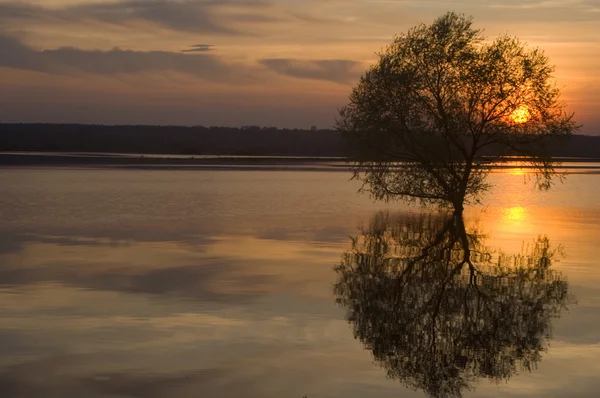 stock image Sunset