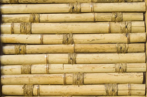 stock image Bamboo