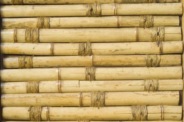 Bambu.