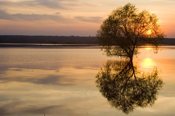 stock image Sunset