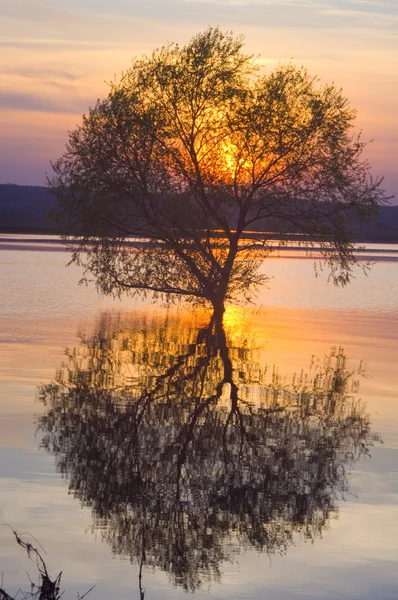 stock image Sunset