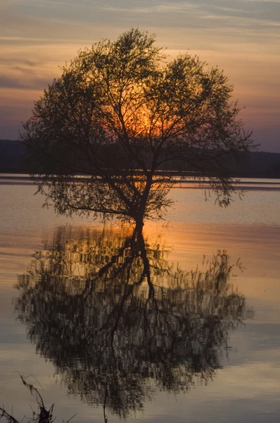 Sunset — Stock Photo, Image