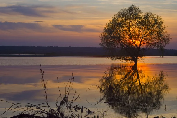 stock image Sunset