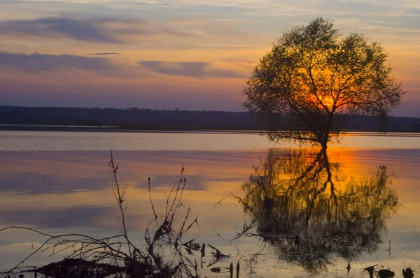 stock image Sunset