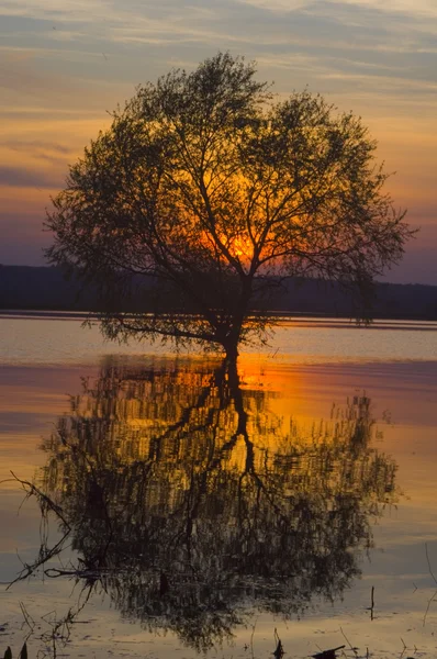 stock image Sunset